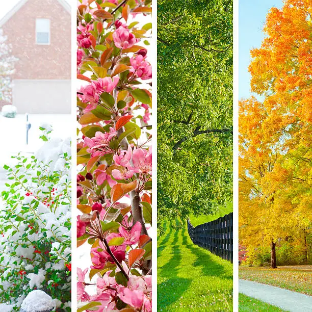 Seasonal Irrigation Tuning